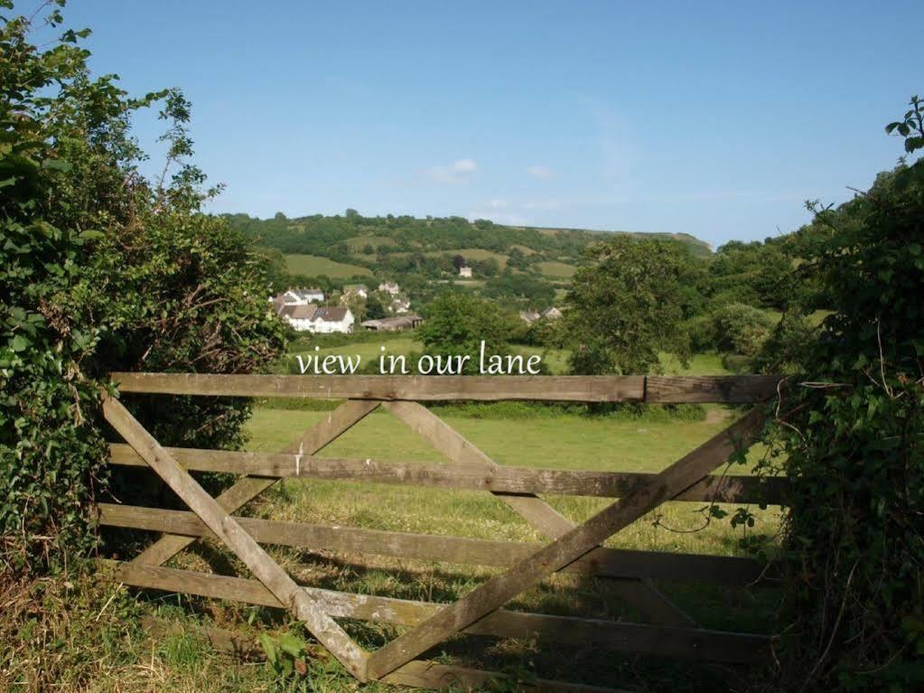 Stunning Countryside Views & Private Balcony! Cozy Room, 3 Miles To Lyme Regis - Free Parking & Wifi Axminster Buitenkant foto